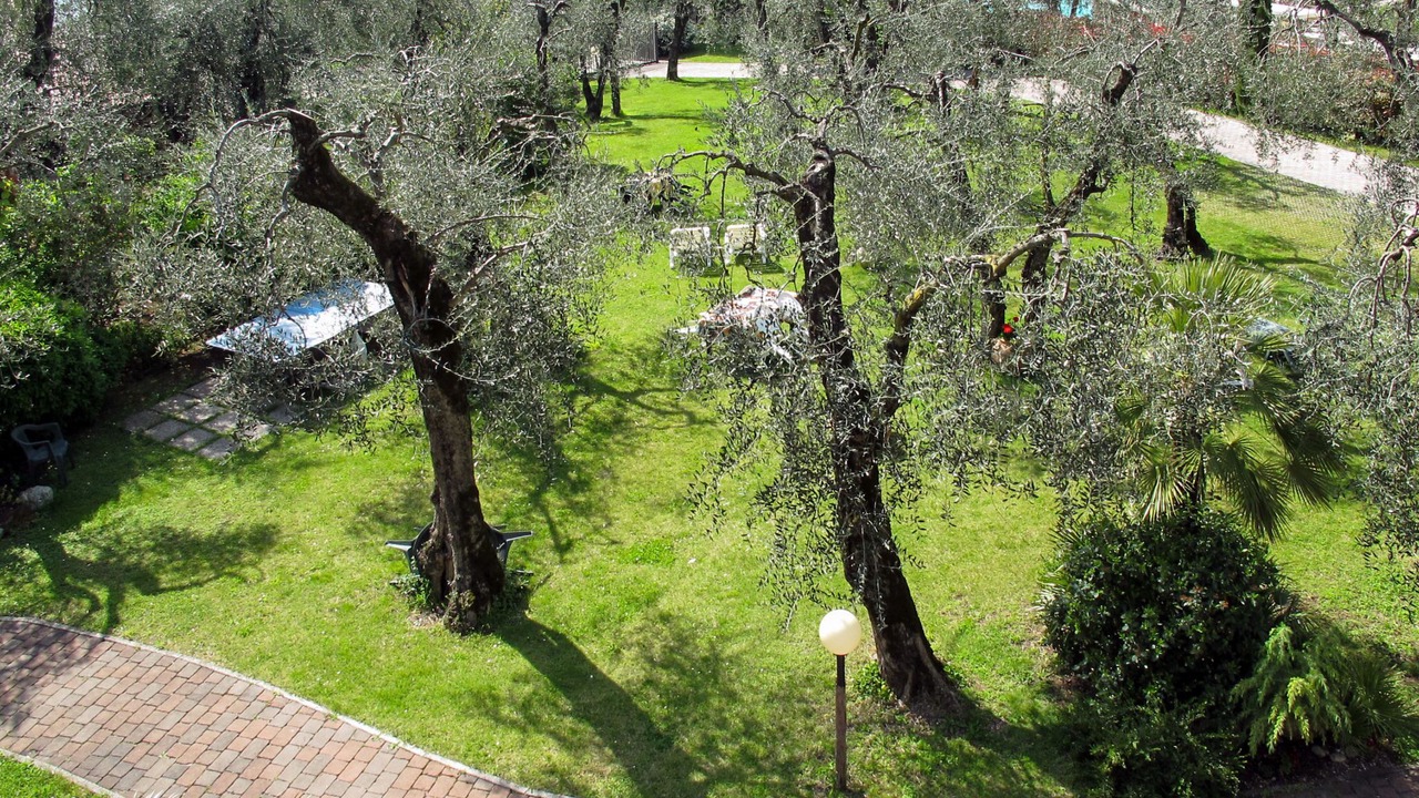 Photo of Others in Val di Sogno