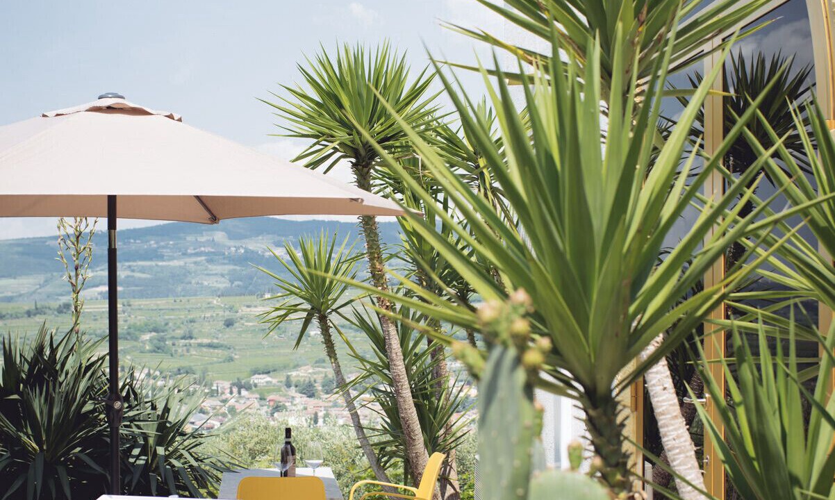 Photo of Outdoor in Marano di Valpolicella
