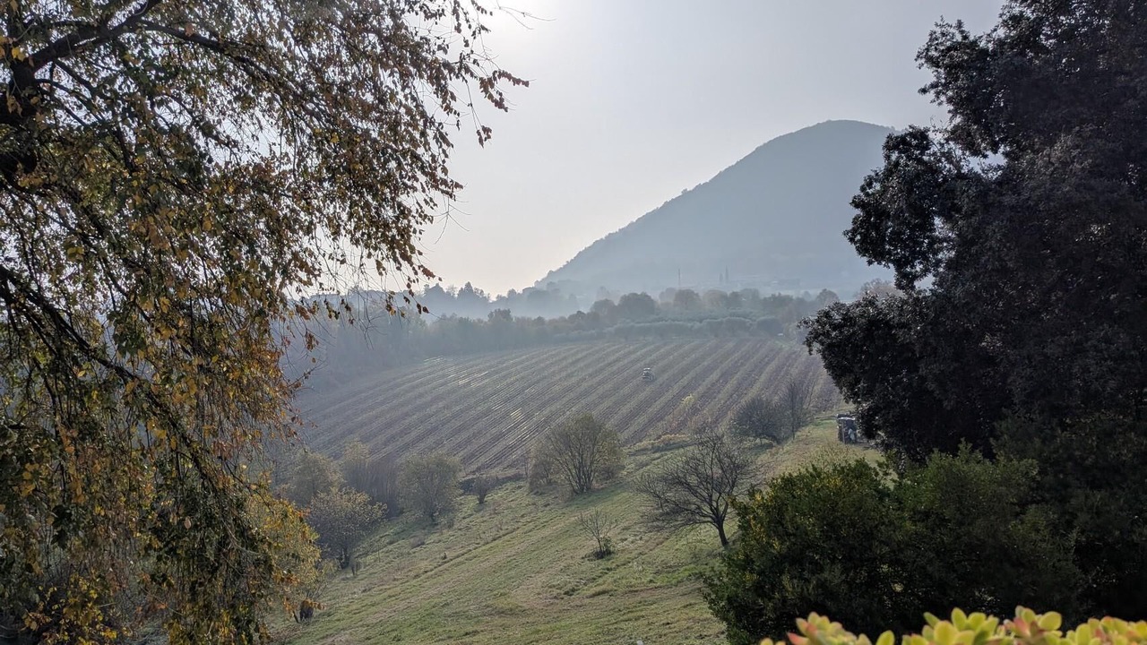 Photo of Others in Teolo
