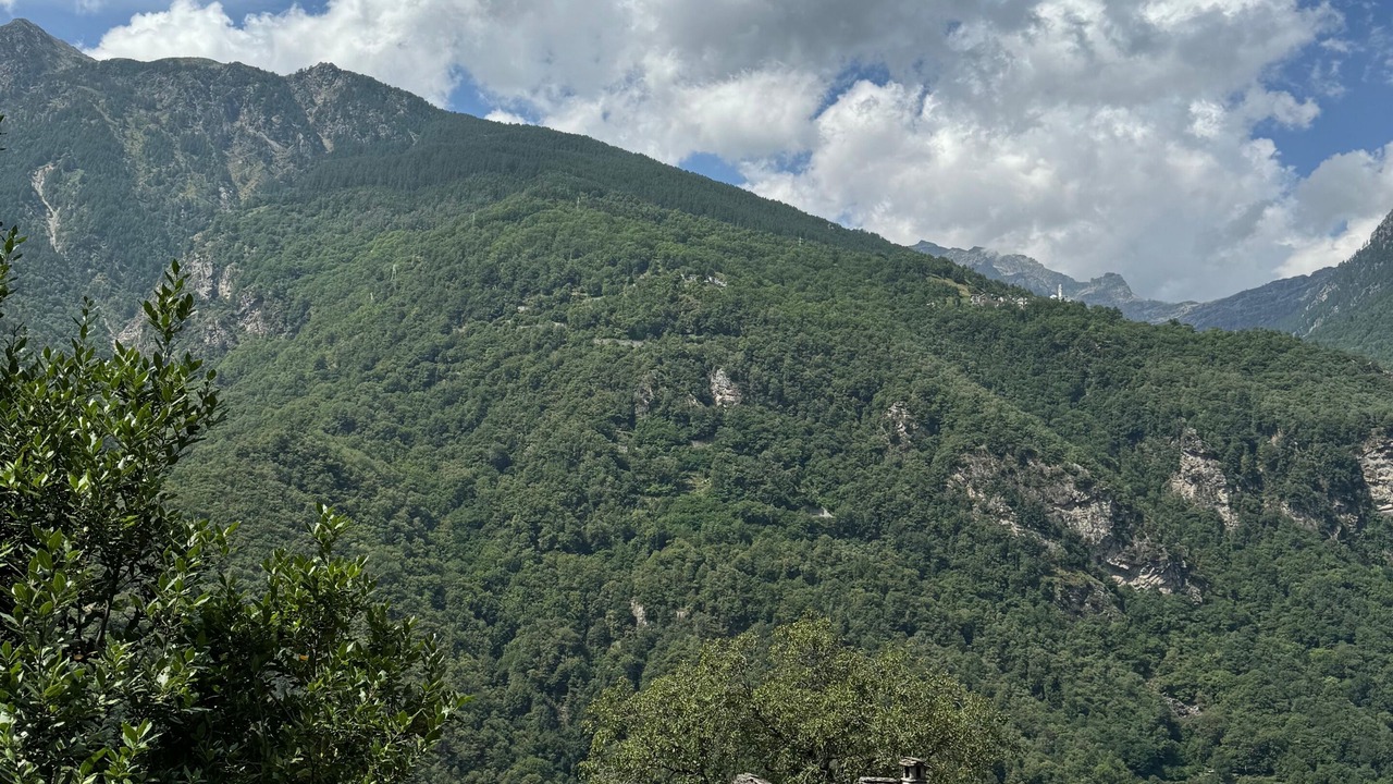 Photo of Outdoor in Guglielmo