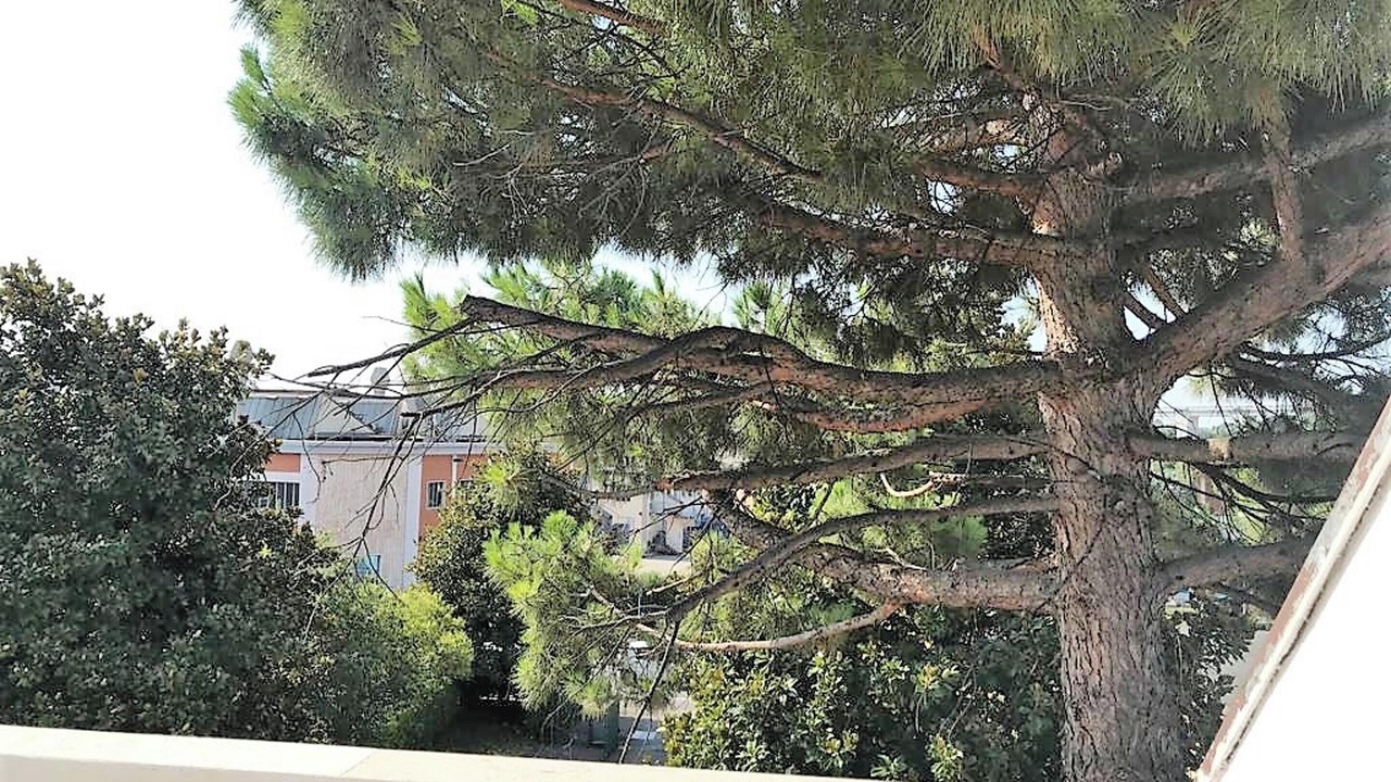 Photo of Outdoor in Desenzano del Garda