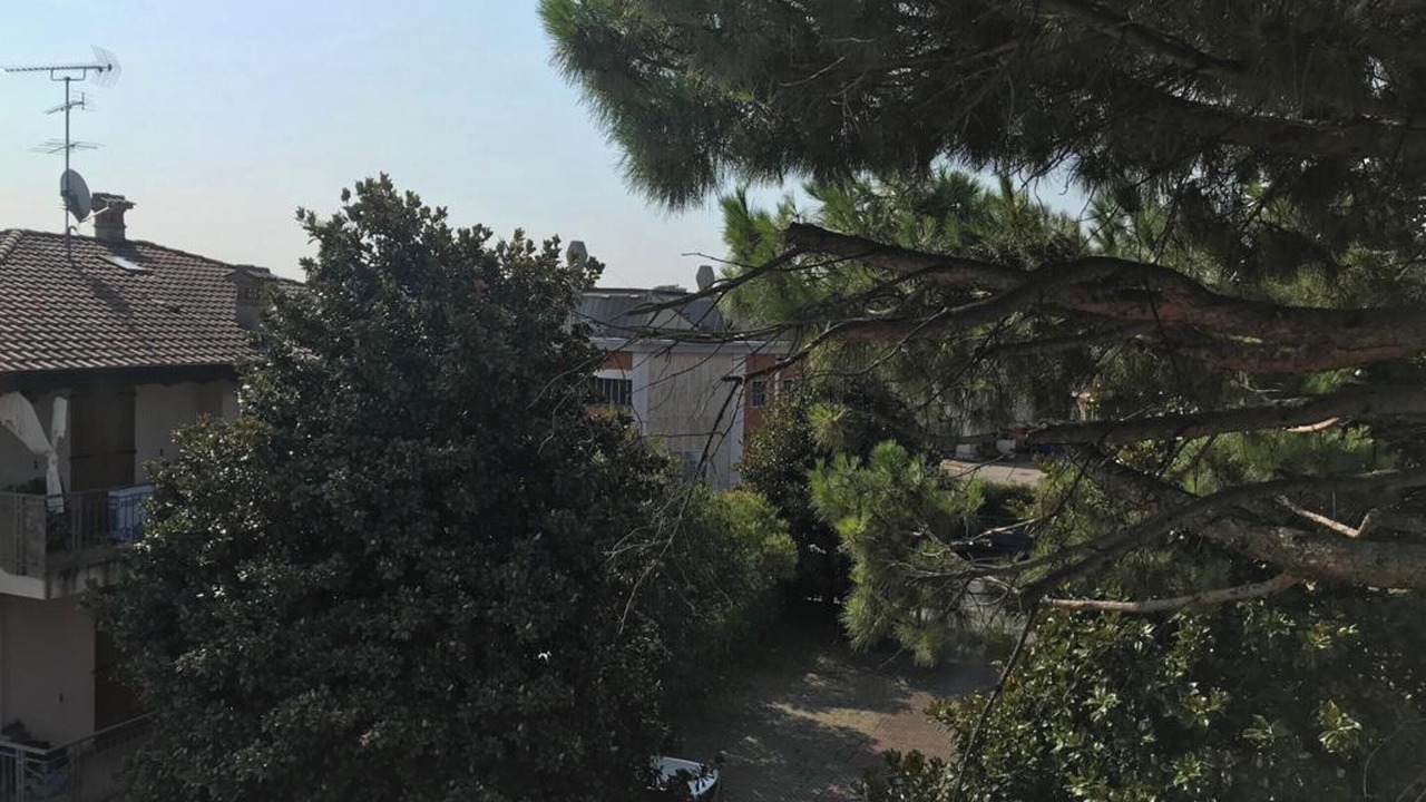 Photo of Outdoor in Desenzano del Garda