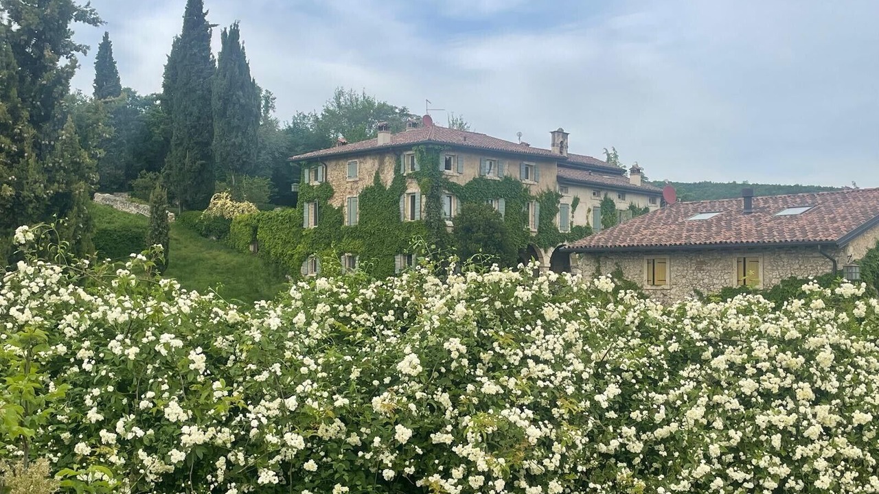 Photo of Outdoor in Negrar
