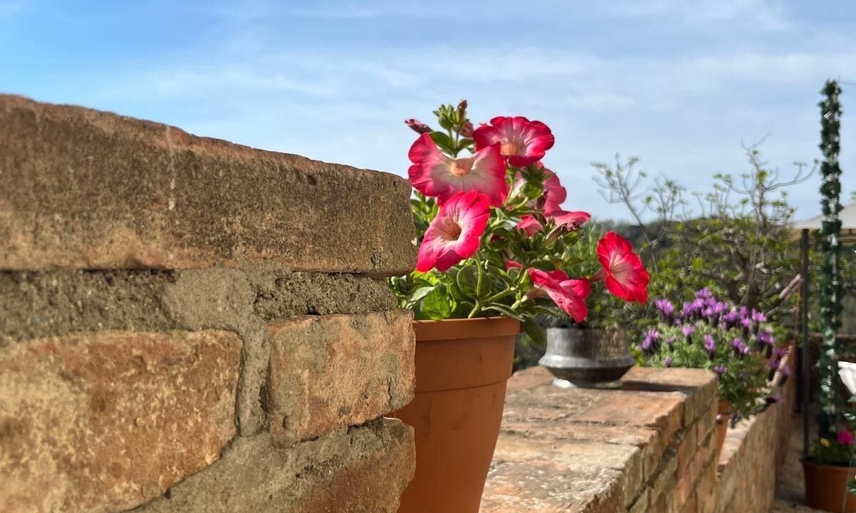 Photo of Outdoor in Bollano
