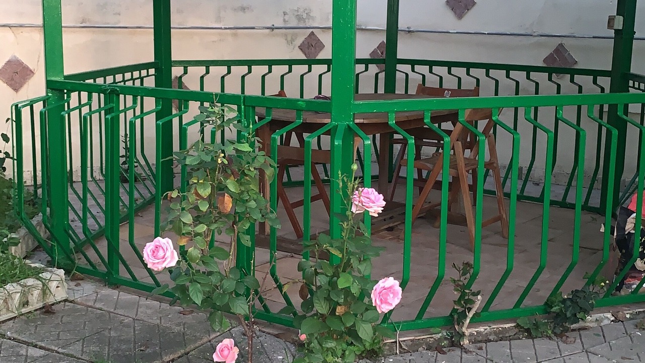 Photo of Outdoor in Civitavecchia