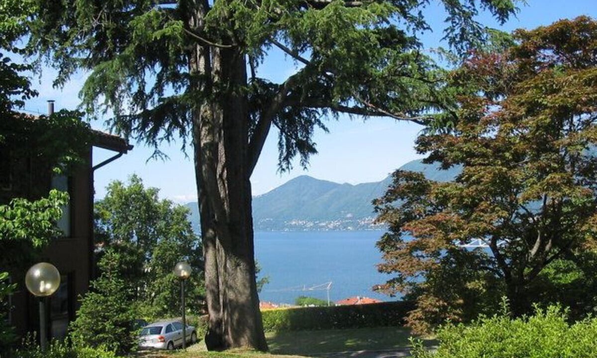 Photo of Outdoor in Luino