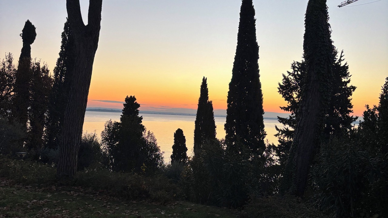 Photo of Others in Monte