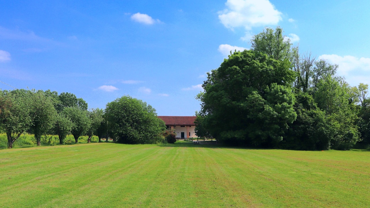 Photo of Outdoor in Limena