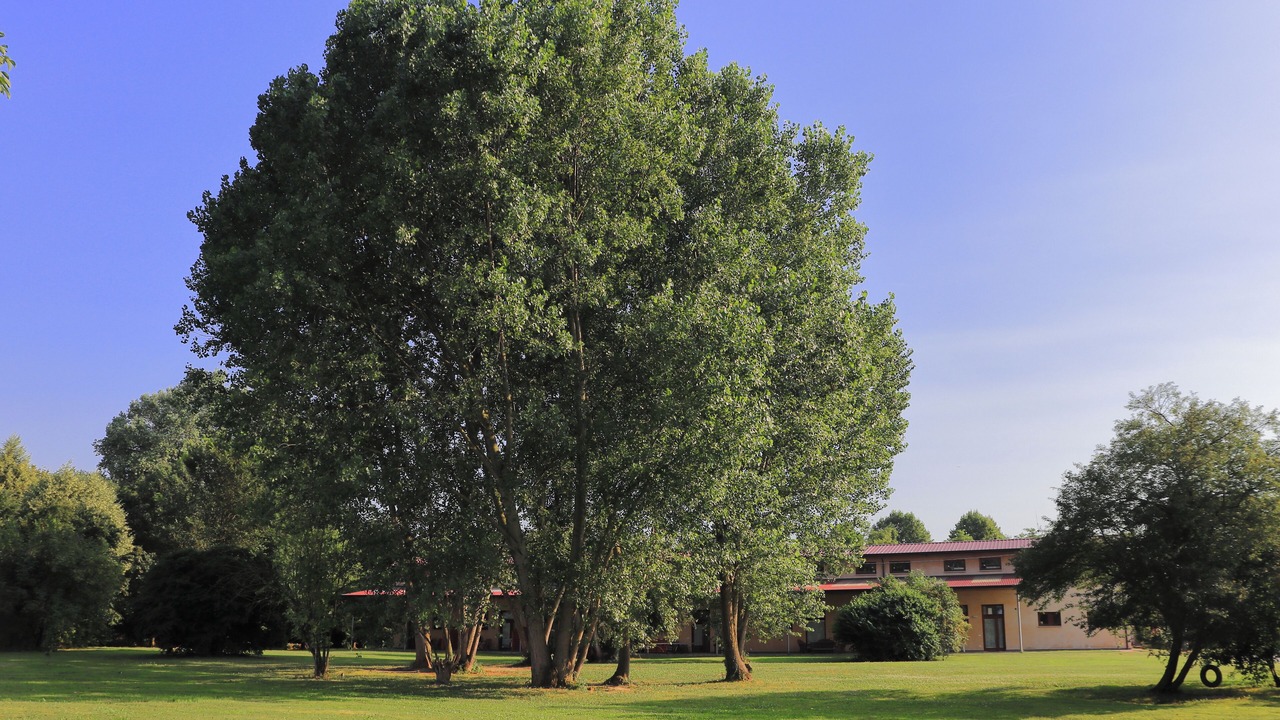 Photo of Outdoor in Limena