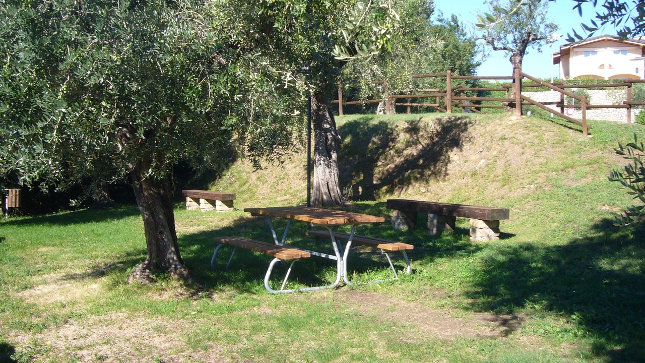 Photo of Outdoor in Solarolo