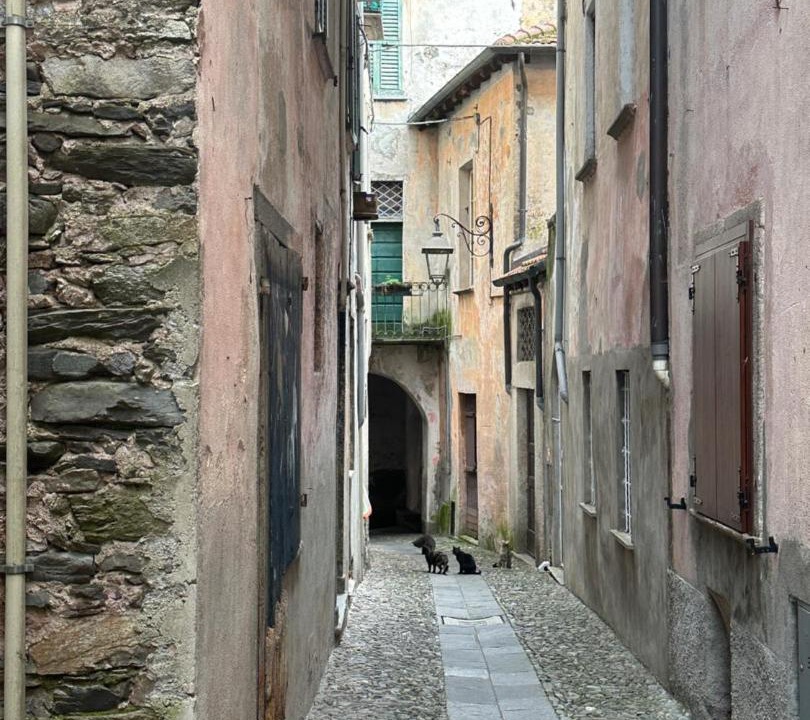 Photo of Others in Maccagno