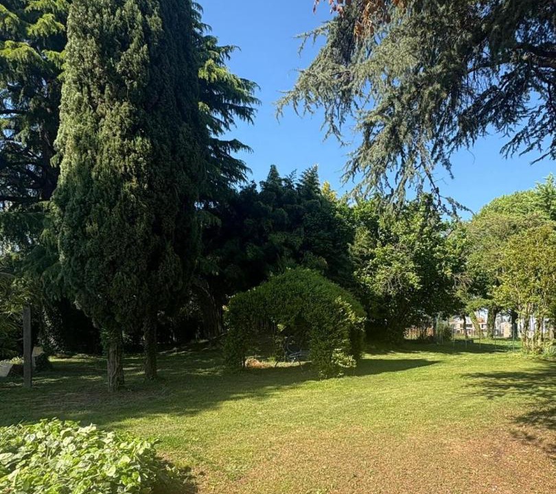 Photo of Others in Campolongo Maggiore