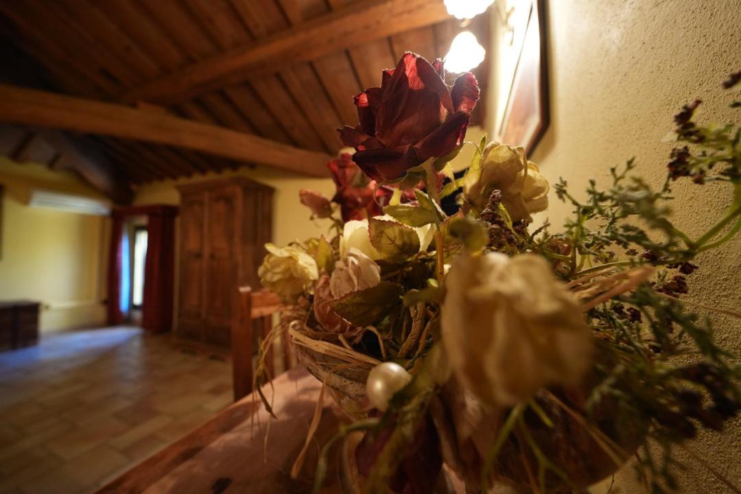 Photo of Others in Vigarano Mainarda