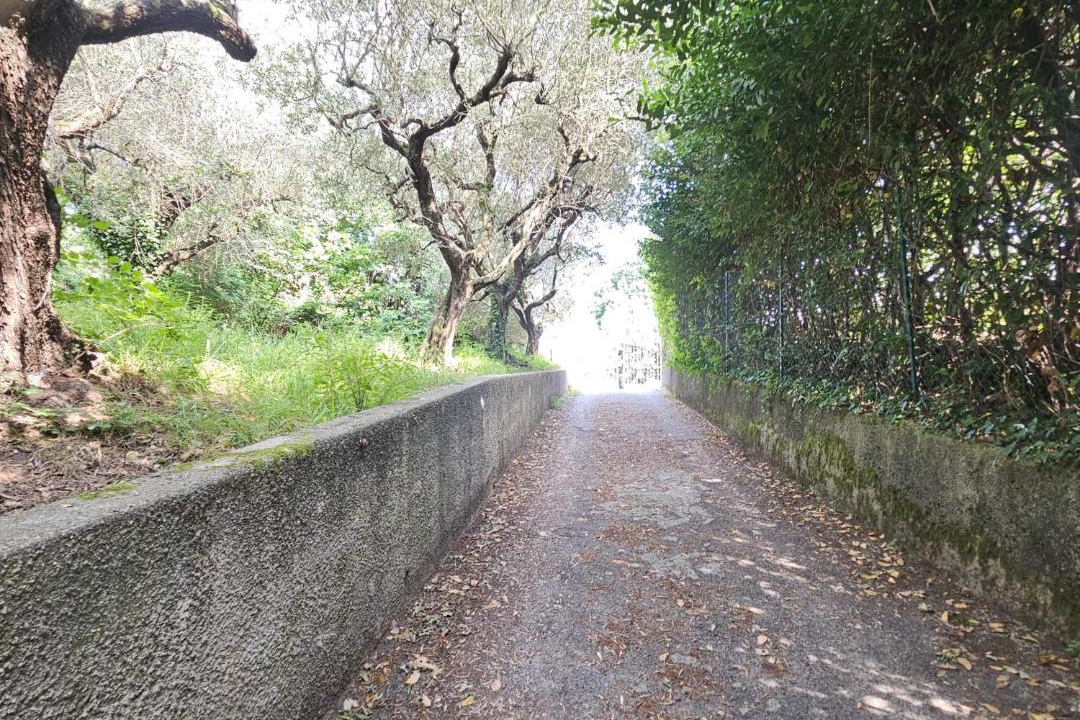Photo of Others in Manerba del Garda