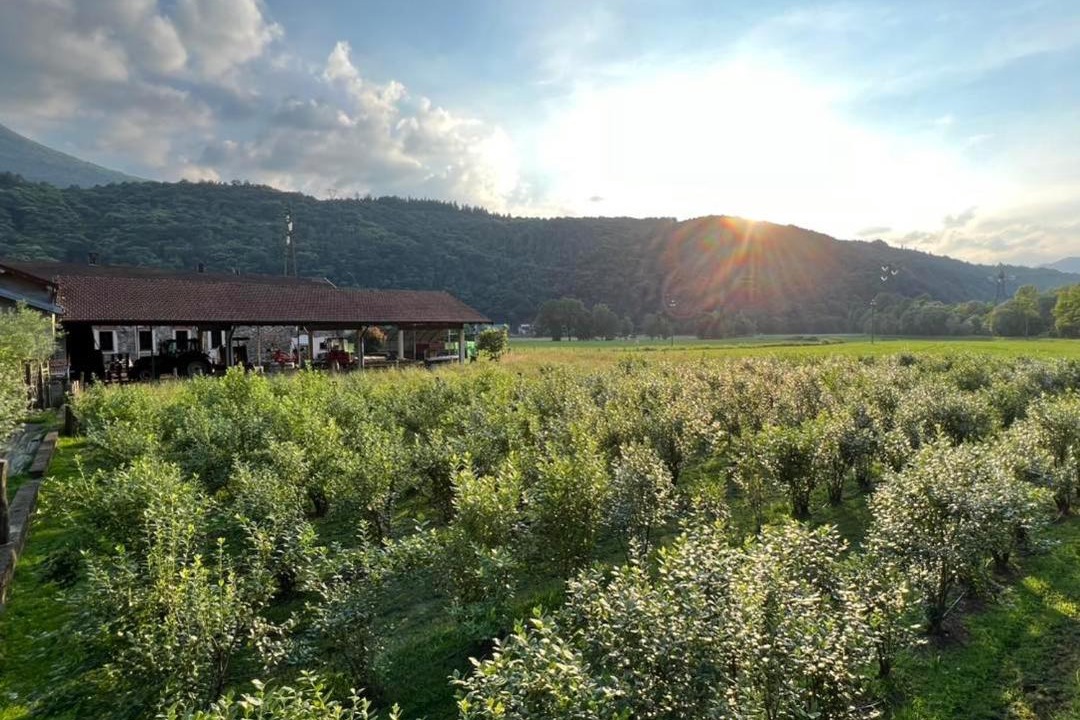Photo of Others in Montegrino Valtravaglia