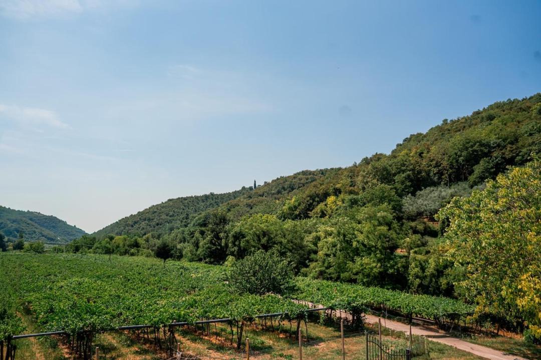Photo of Others in Mezzane di Sotto