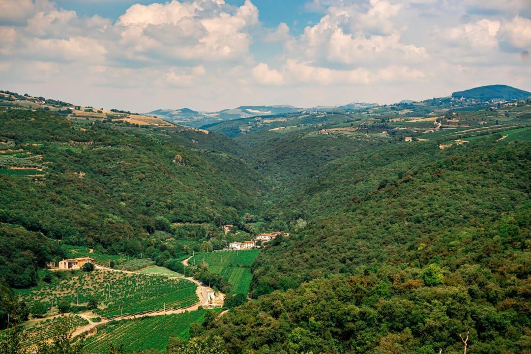 Photo of Others in Mezzane di Sotto