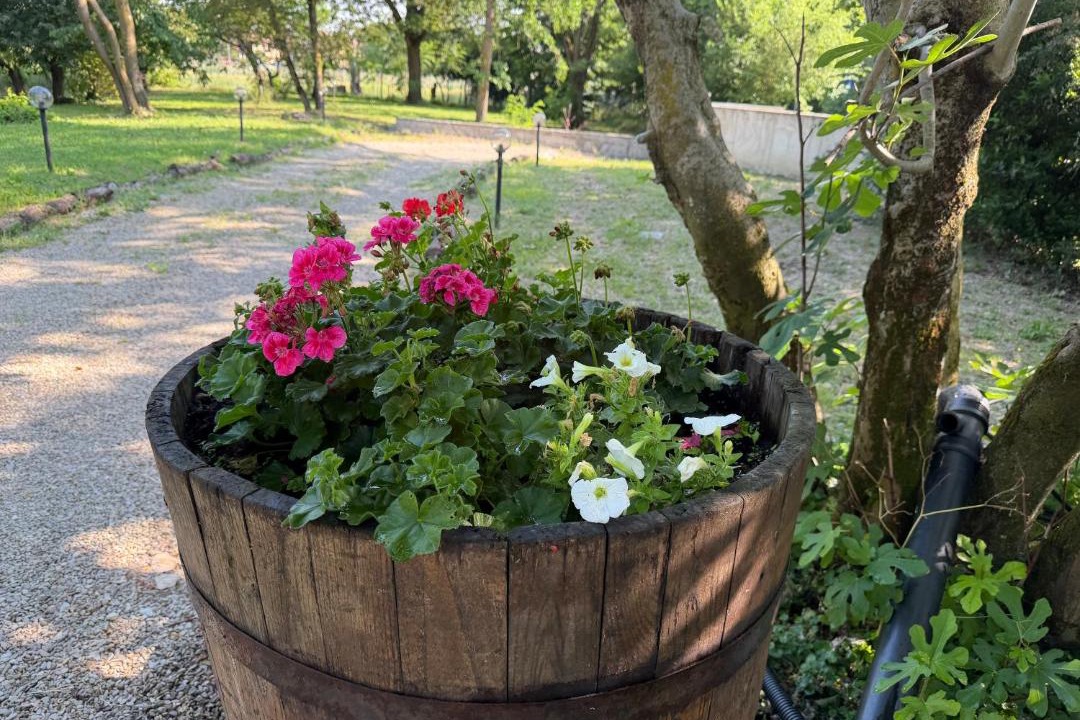 Photo of Outdoor in Granarolo dell'Emilia