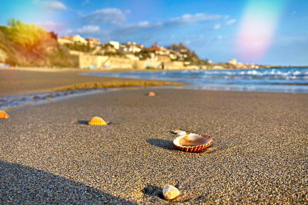 Photo of Others in Lido dei Pini