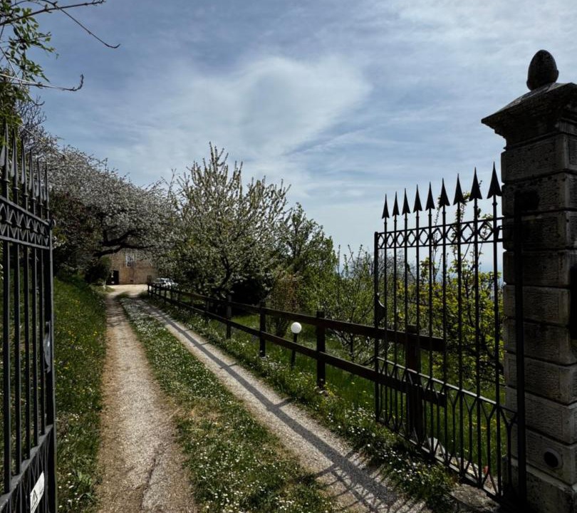 Photo of Others in Porta Venezia