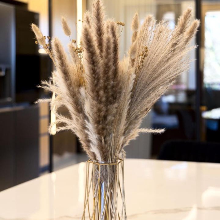 Photo of Kitchen in Milano 3