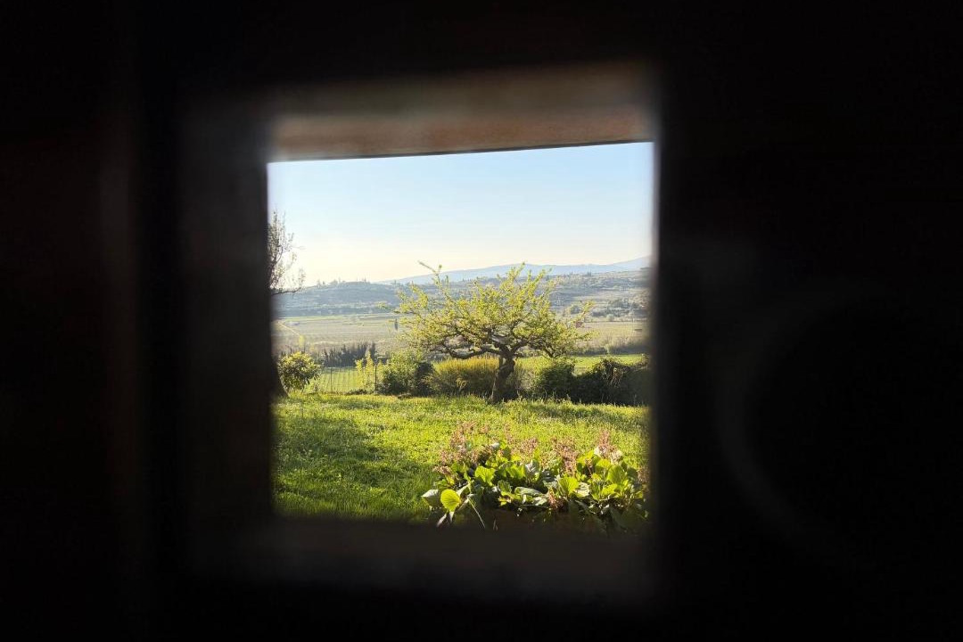 Photo of Others in Pedemonte