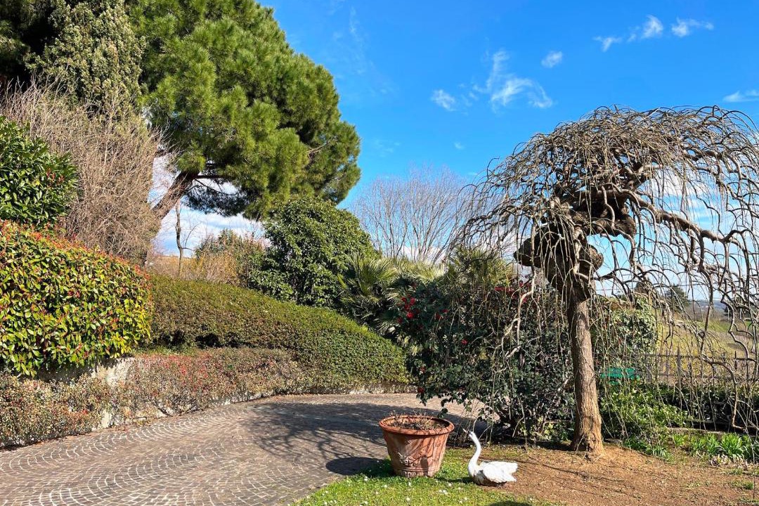 Photo of Others in Zugliano
