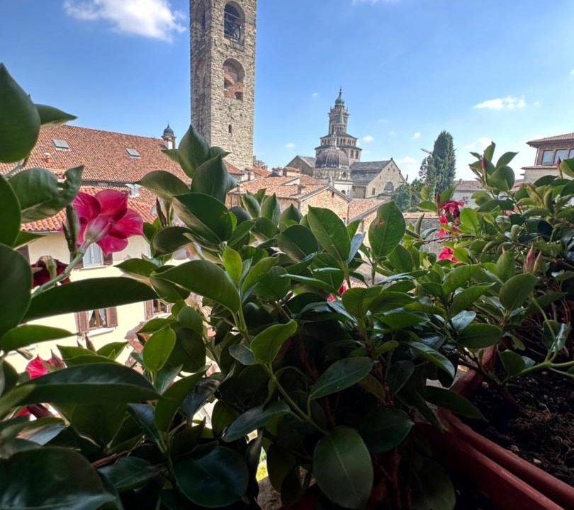 Photo of Others in Citta Alta