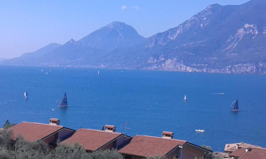 Photo of Others in Assenza