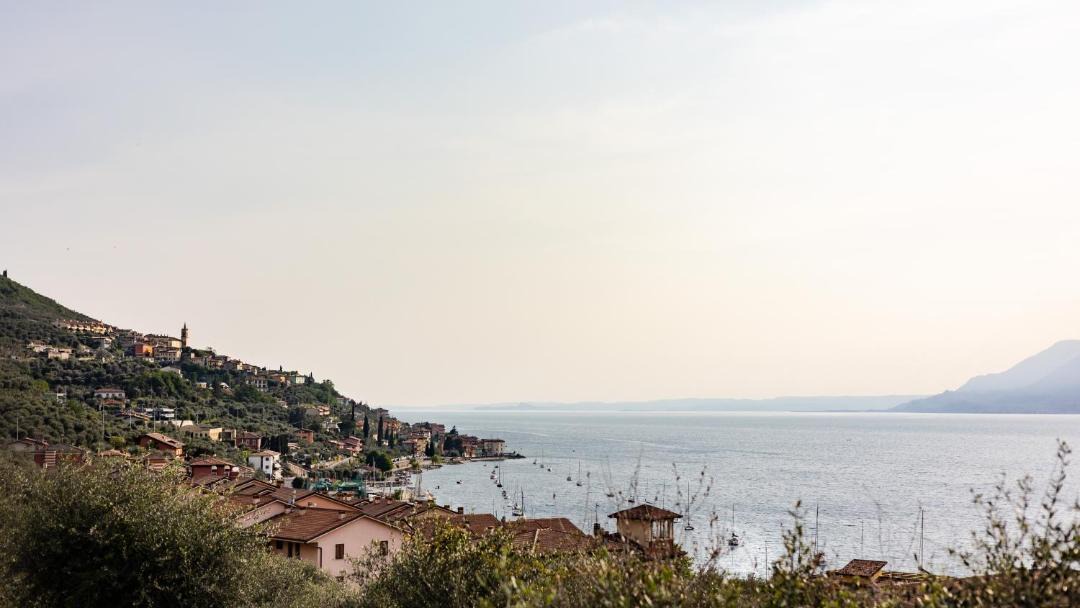 Photo of Others in Assenza