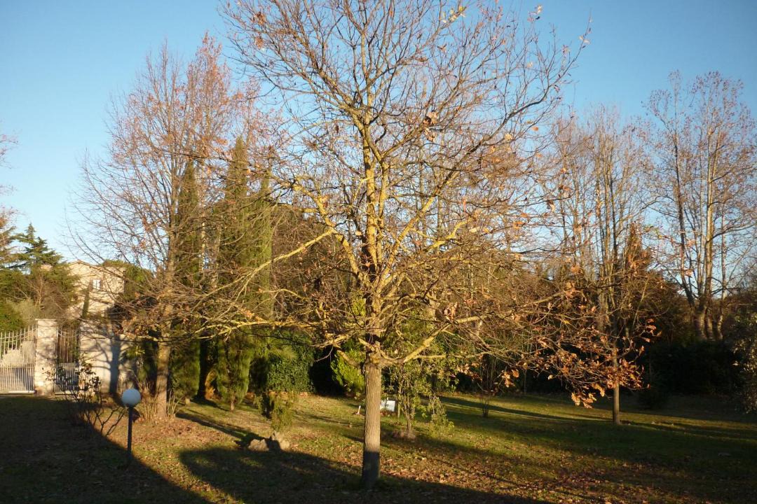 Photo of Outdoor in Viterbo