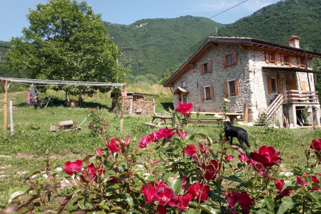Photo of Others in Gargnano