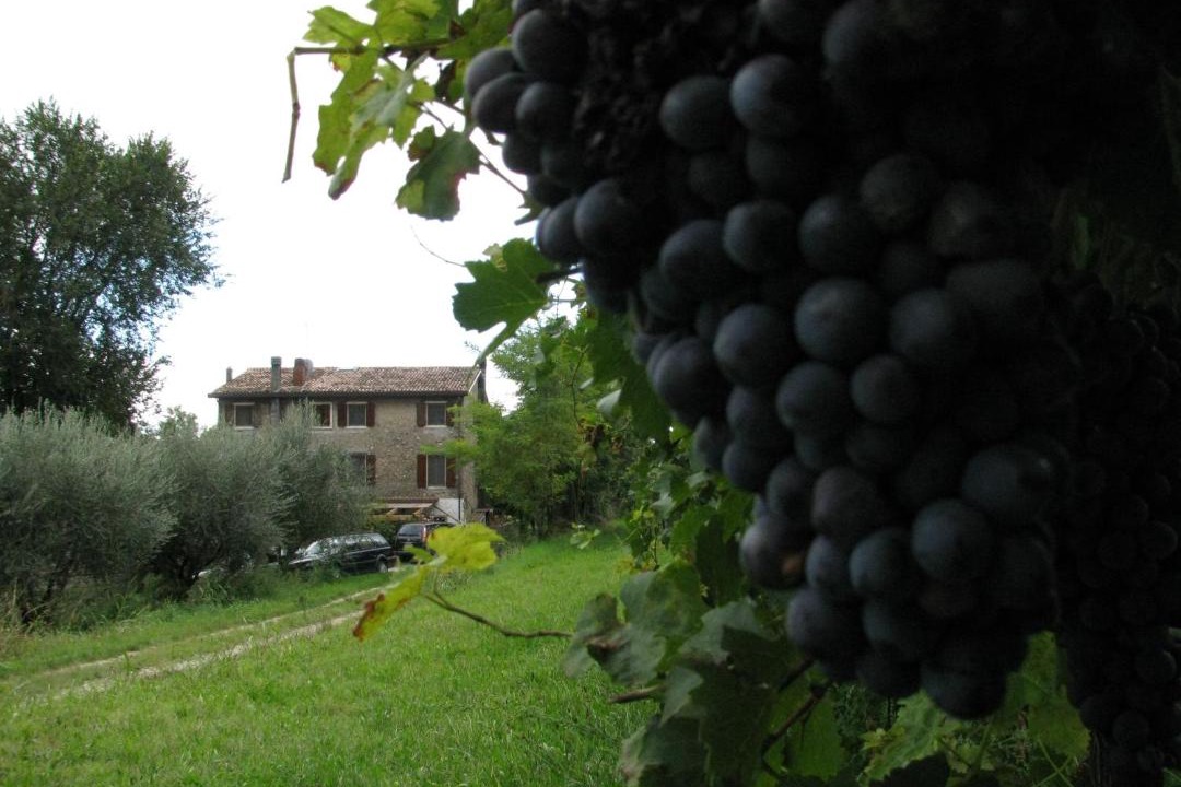 Photo of Others in Colà Di Lazise