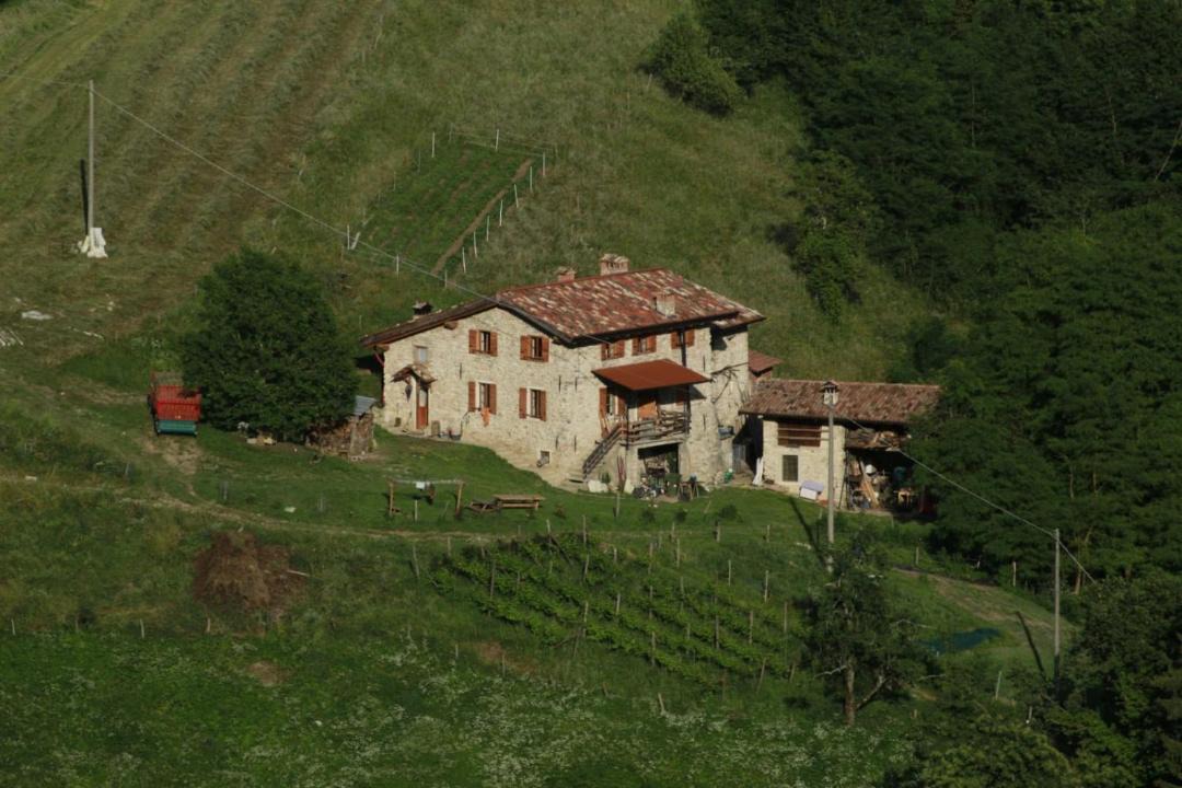Photo of Others in Gargnano