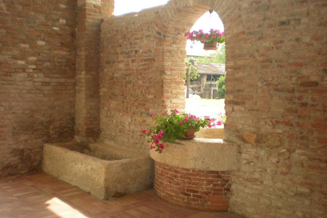 Photo of Others in Lonigo