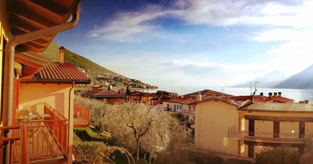 Photo of Others in Assenza