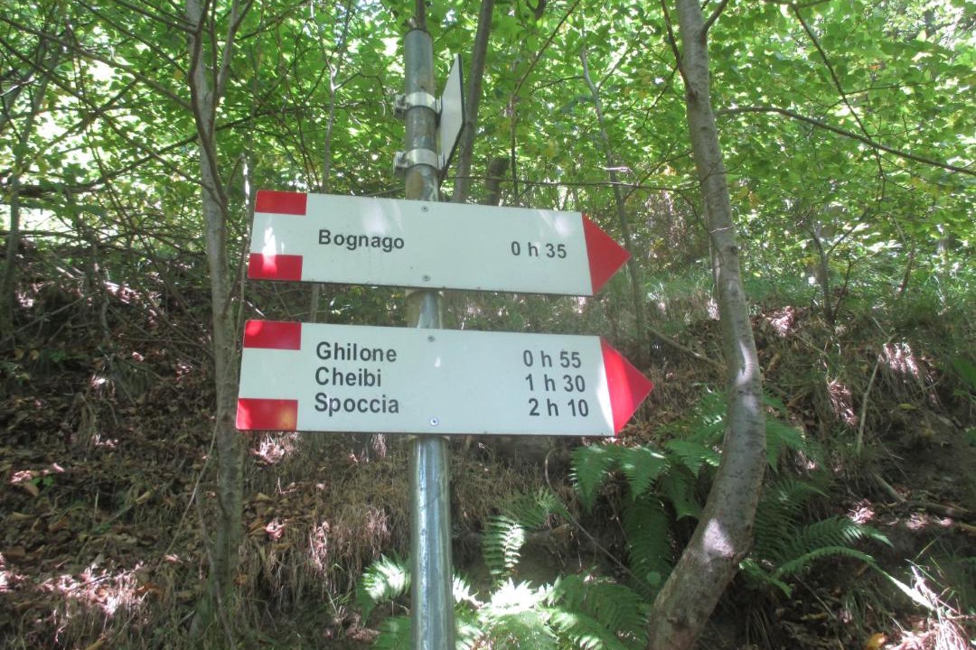 Photo of Others in Cursolo-Orasso