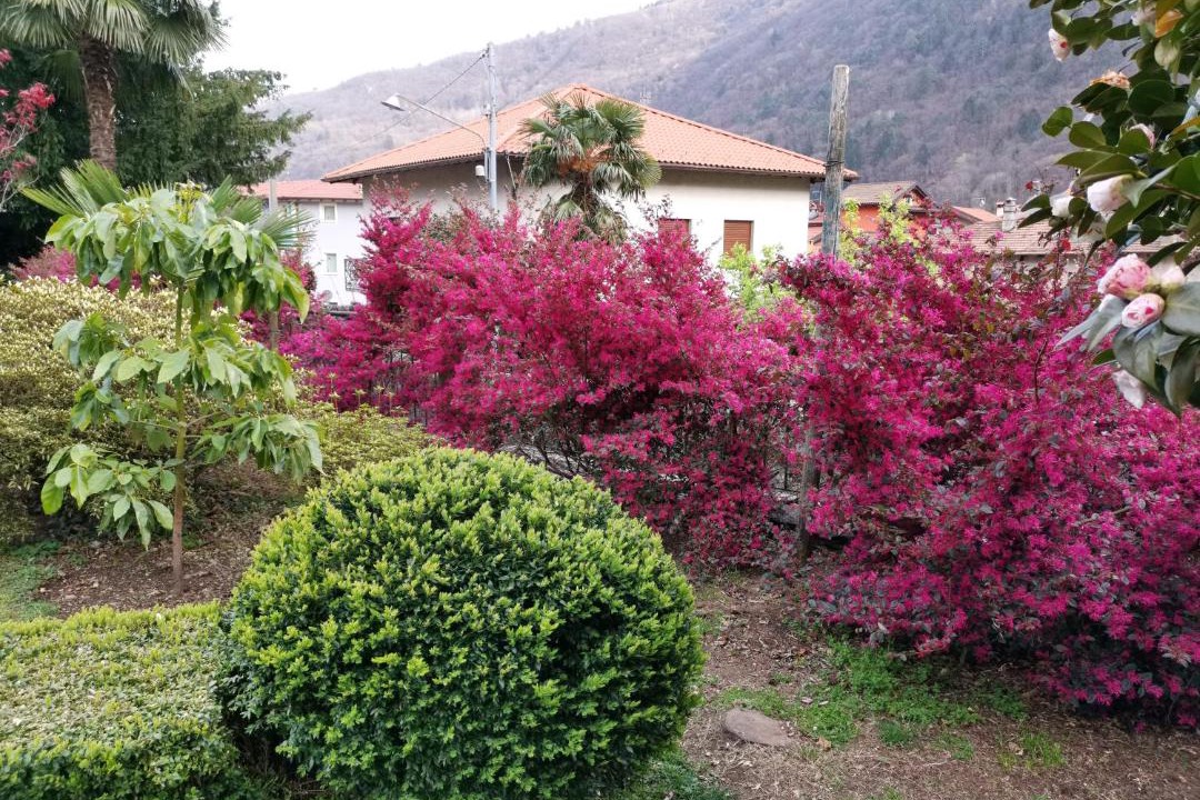 Photo of Others in Cannobio