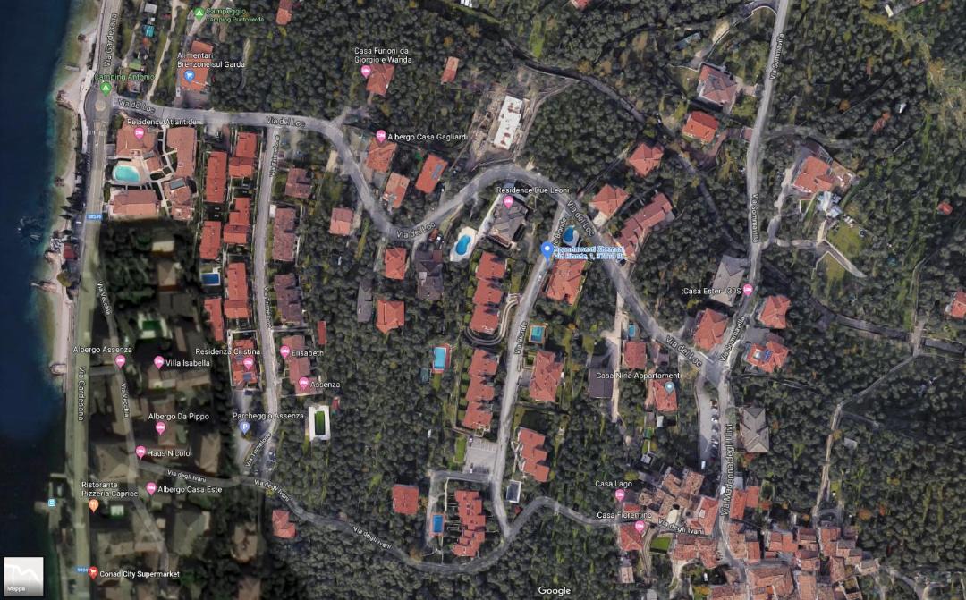 Photo of Others in Assenza