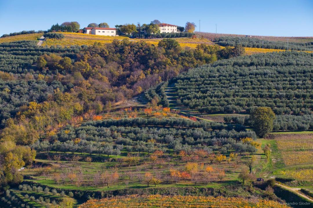 Photo of Others in Mezzane di Sotto