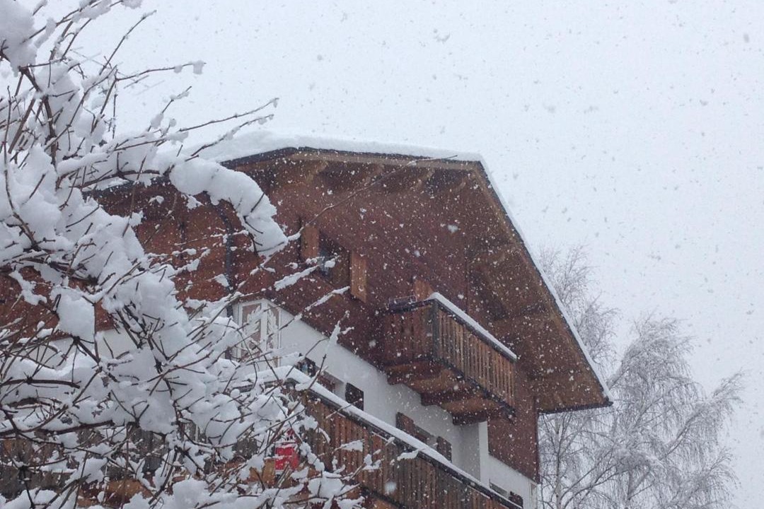 Photo of Others in Bormio