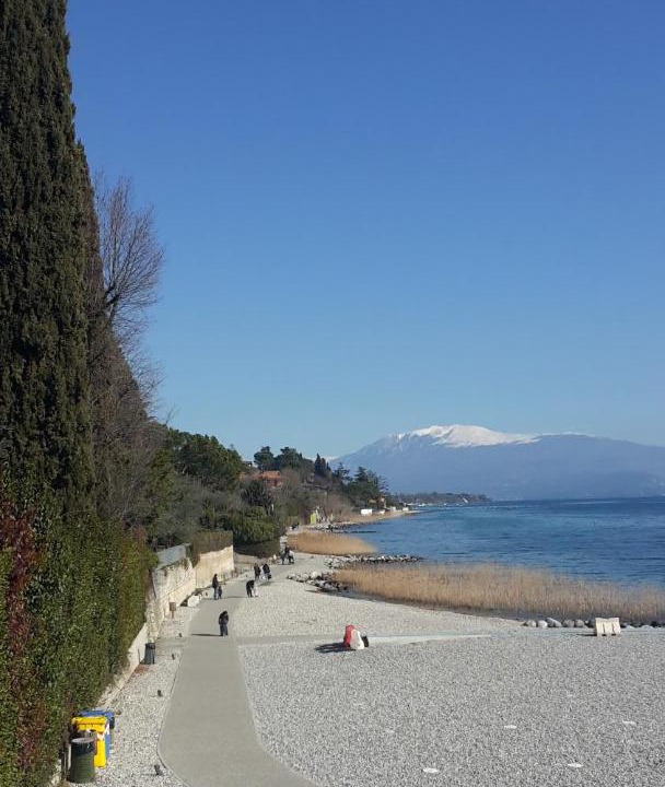 Photo of Others in Monte