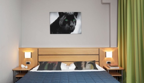 Double Room Single Use