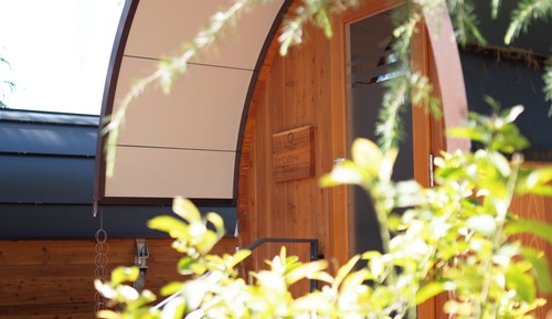 Room (Wine Barrel Stay at the Winery)