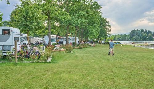 Empty pitch for tent, caravan or camper