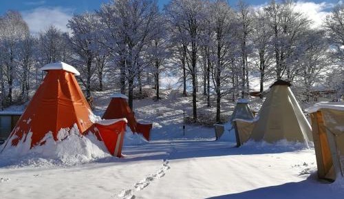 Tent