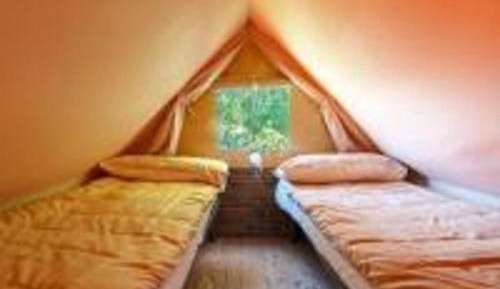 Standard Tent Split Level with Shared Bathroom