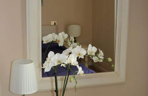 Carre Hotel | Hotel La Rua