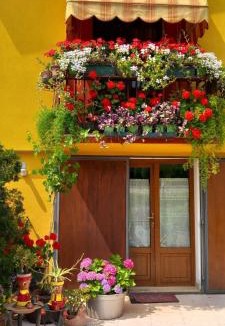 Montagnana House | 'BED & BIKE BELFIORE' locazione turistica