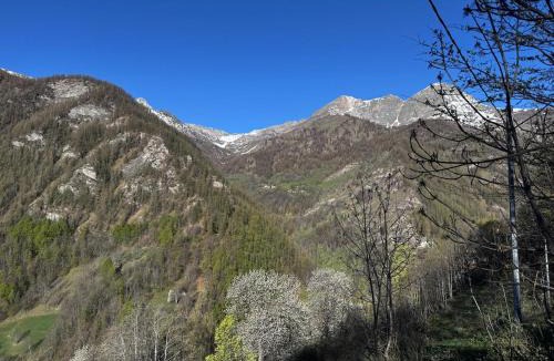 Elva Ski Chalet | La Caso dal Chiot - Chalet